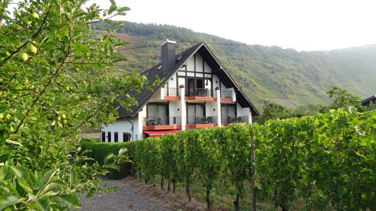 Haus Weingarten APPARTEMENTS-ZIMMER Ernst Zimmer foto